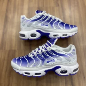 Air Max TN Purple Dragon