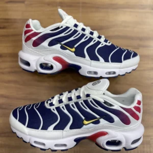 Air Max TN PSG